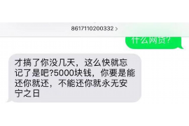 分宜分宜讨债公司服务